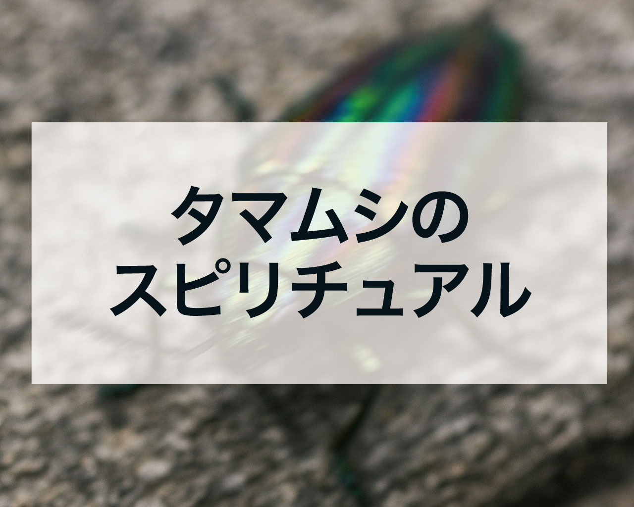 タマムシのスピリチュアル