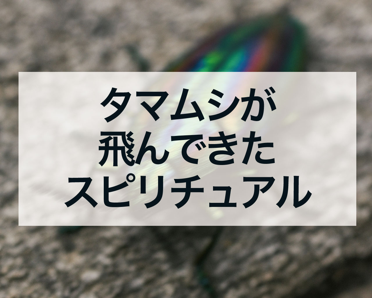 タマムシが飛んできた