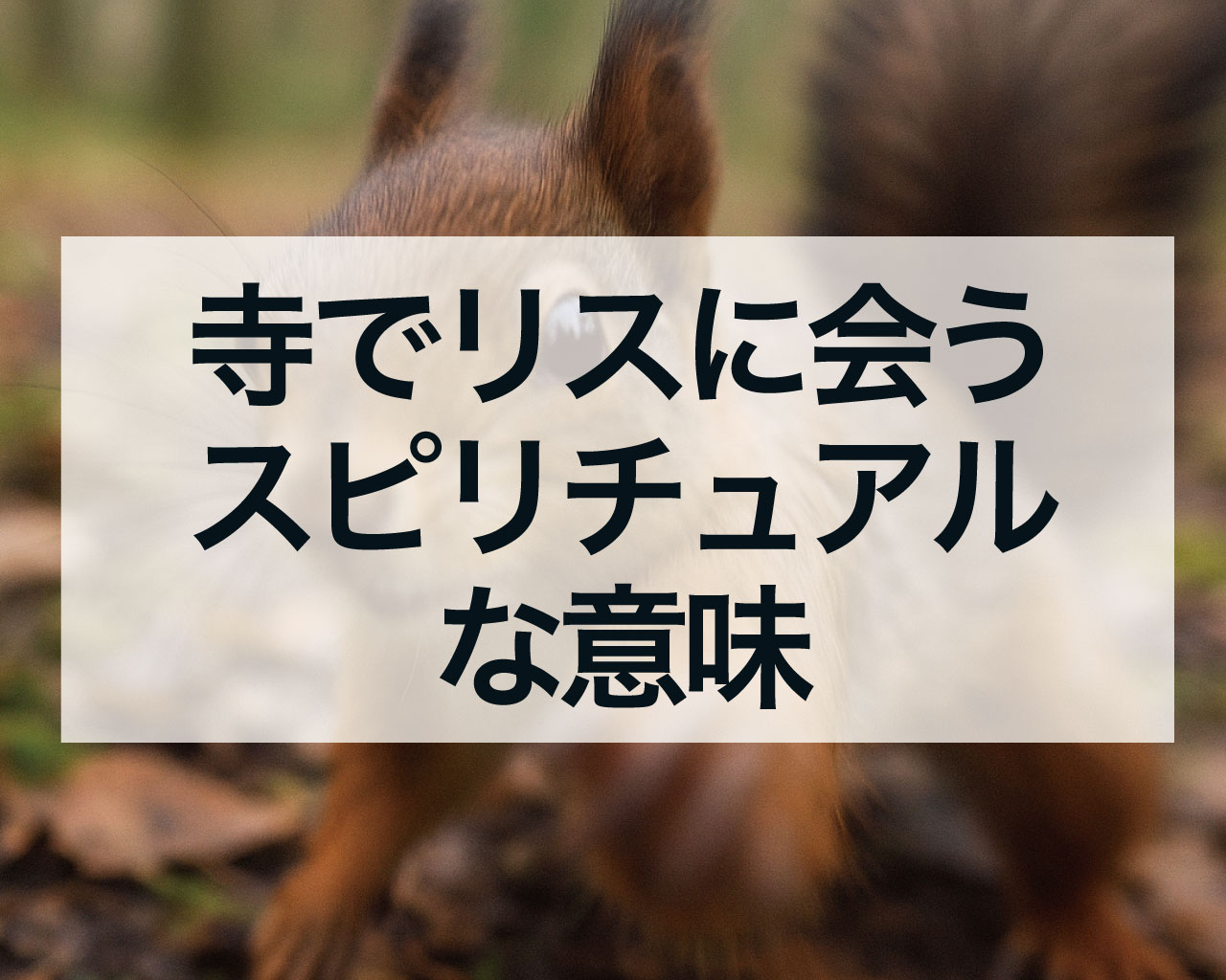 寺でリスに会うスピリチュアルな意味