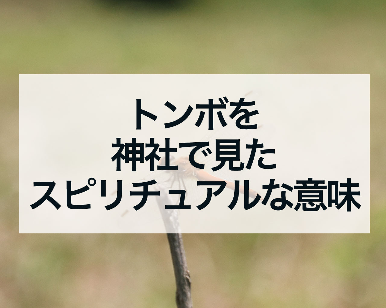 トンボを神社で見たスピリチュアルな意味