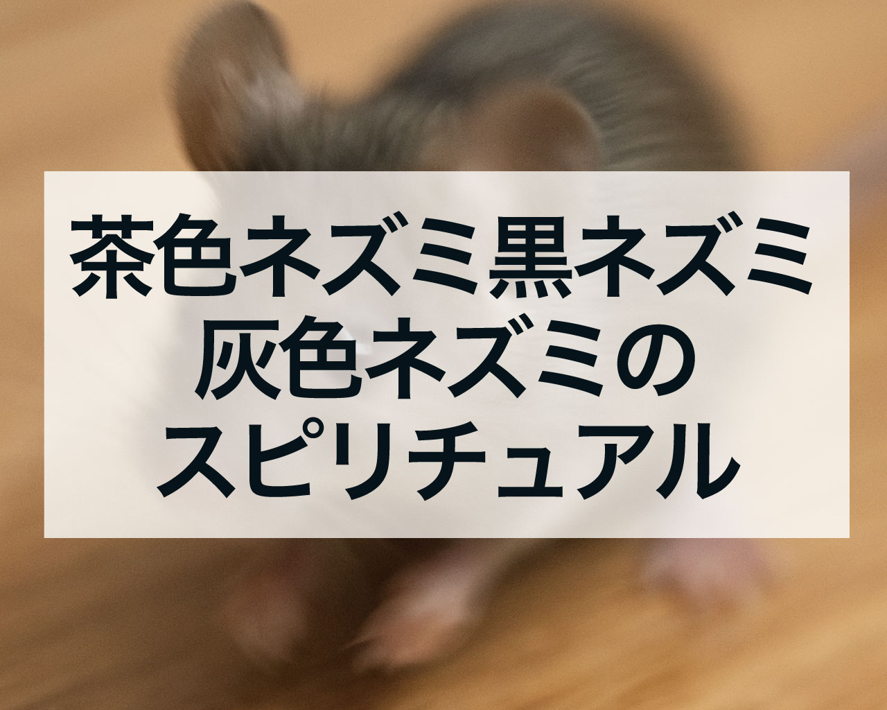 茶色ネズミ・黒いネズミ・灰色ネズミのスピリチュアル