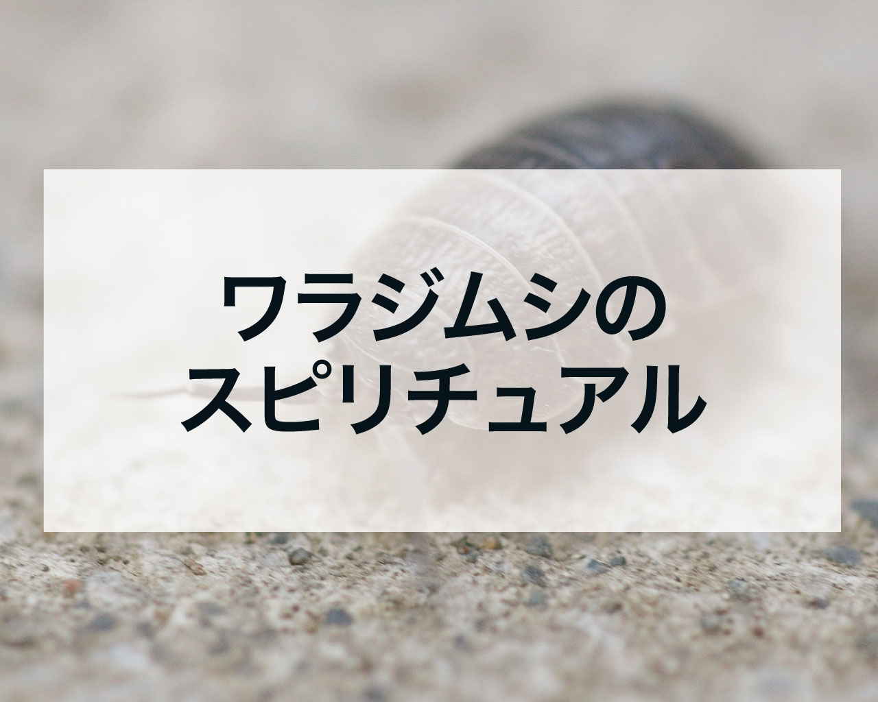 ワラジムシのスピリチュアル