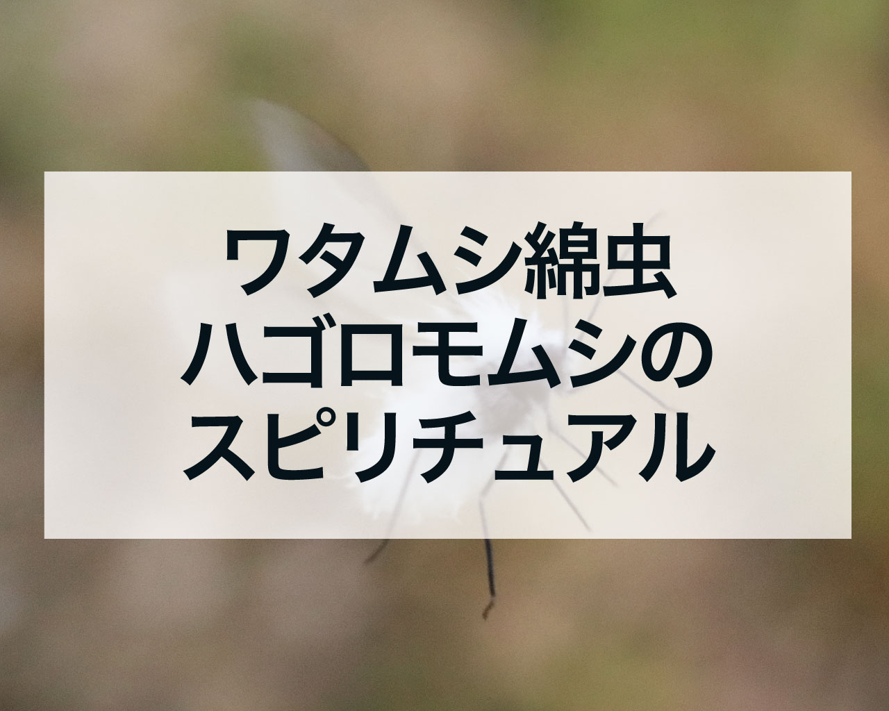 ワタムシ綿虫ハゴロモムシのスピリチュアル