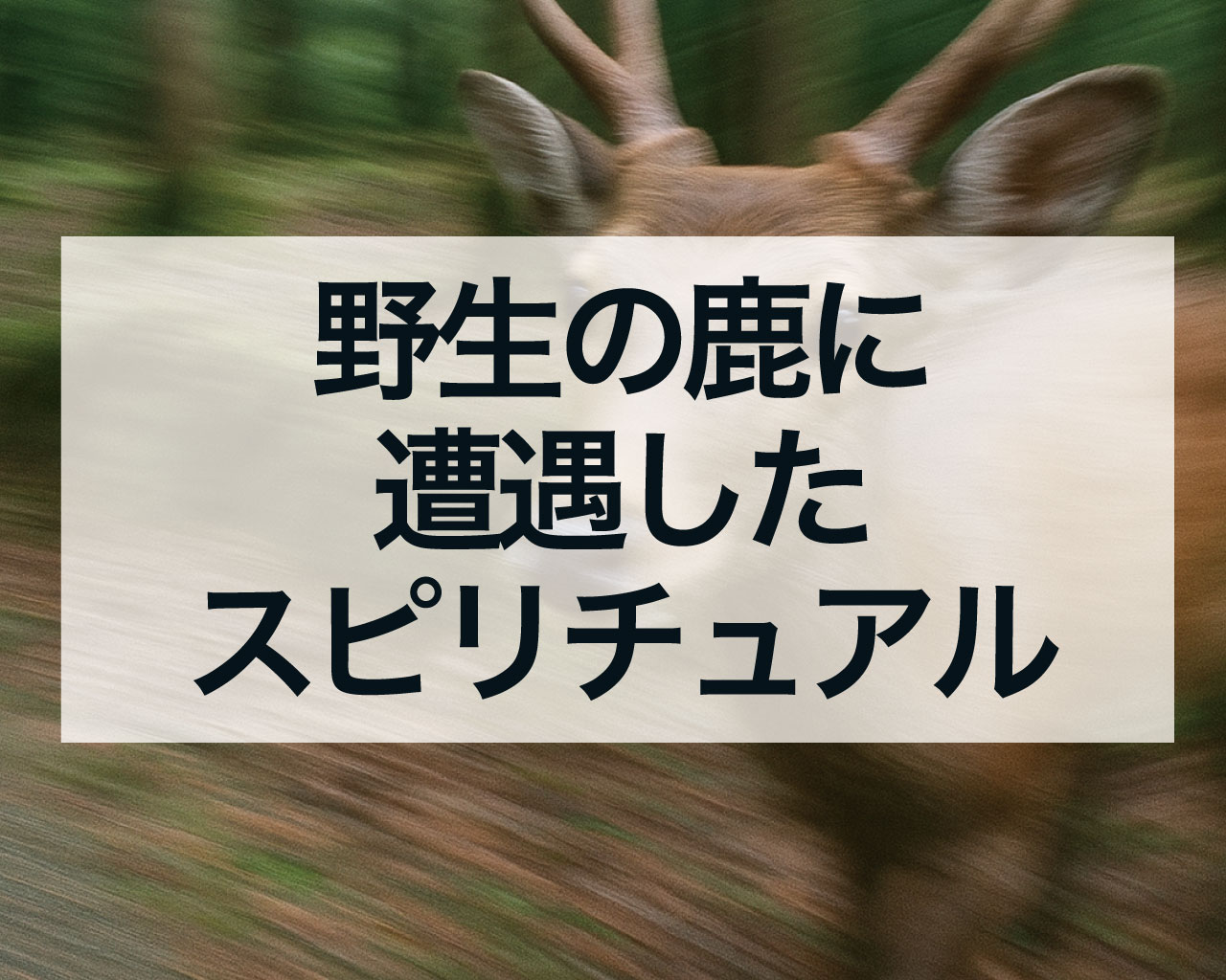野生の鹿に遭遇したスピリチュアルな意味