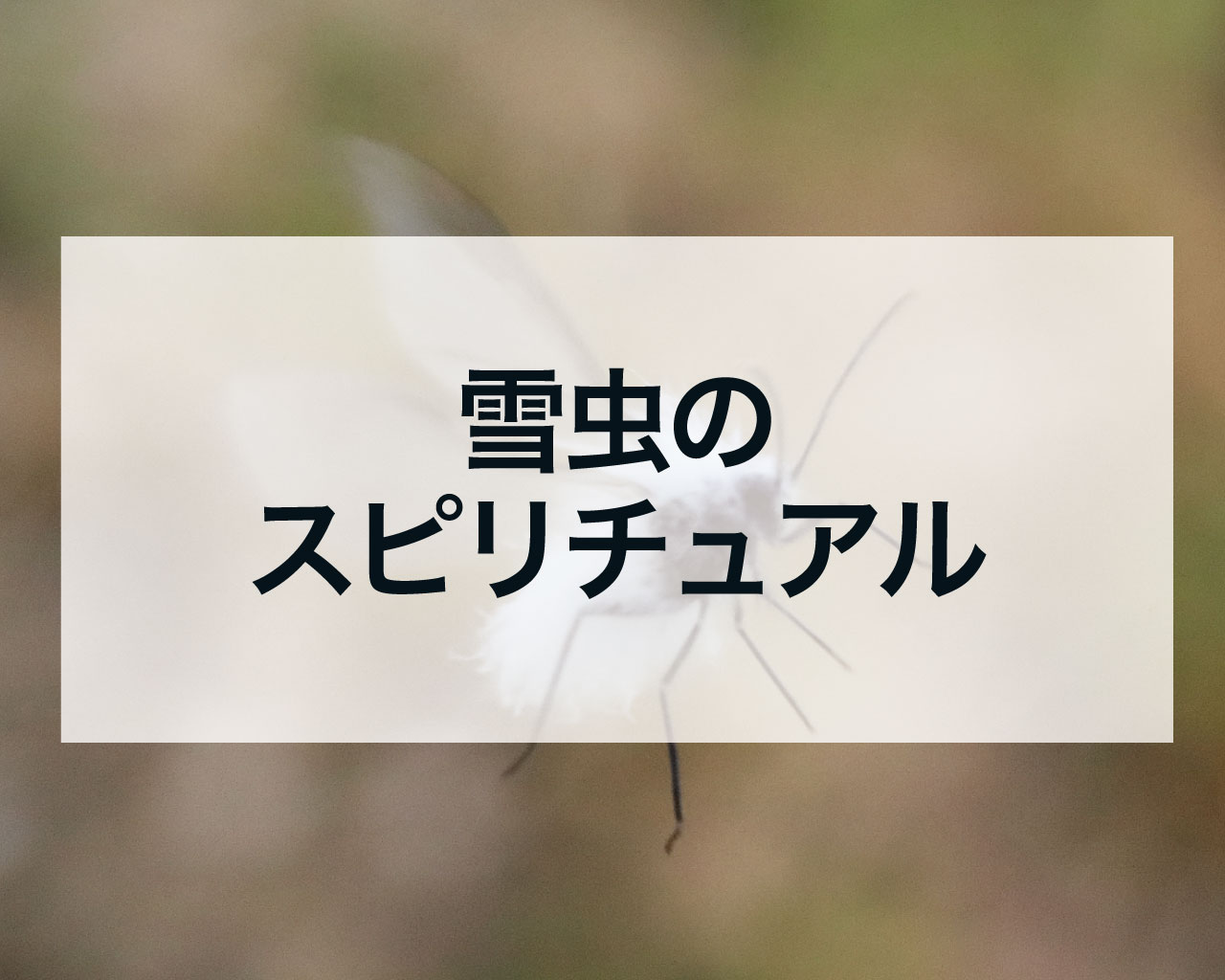 雪虫のスピリチュアル｜冬の訪れを告げる不思議なメッセンジャー