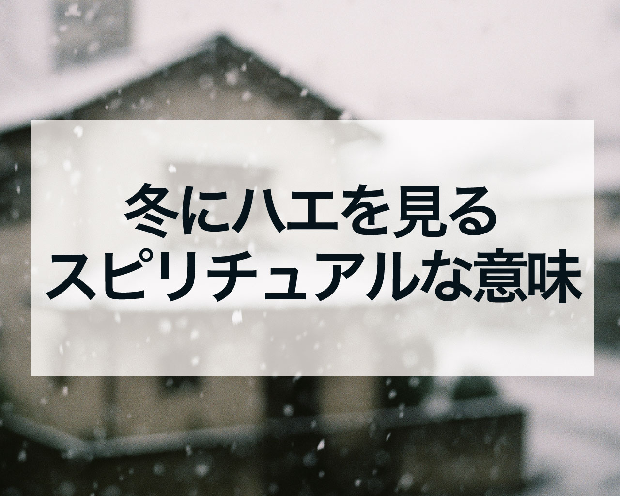 冬にハエを見るのは不吉じゃない！スピリチュアルな5つの意味とメッセージ【生命力・変化の予兆】