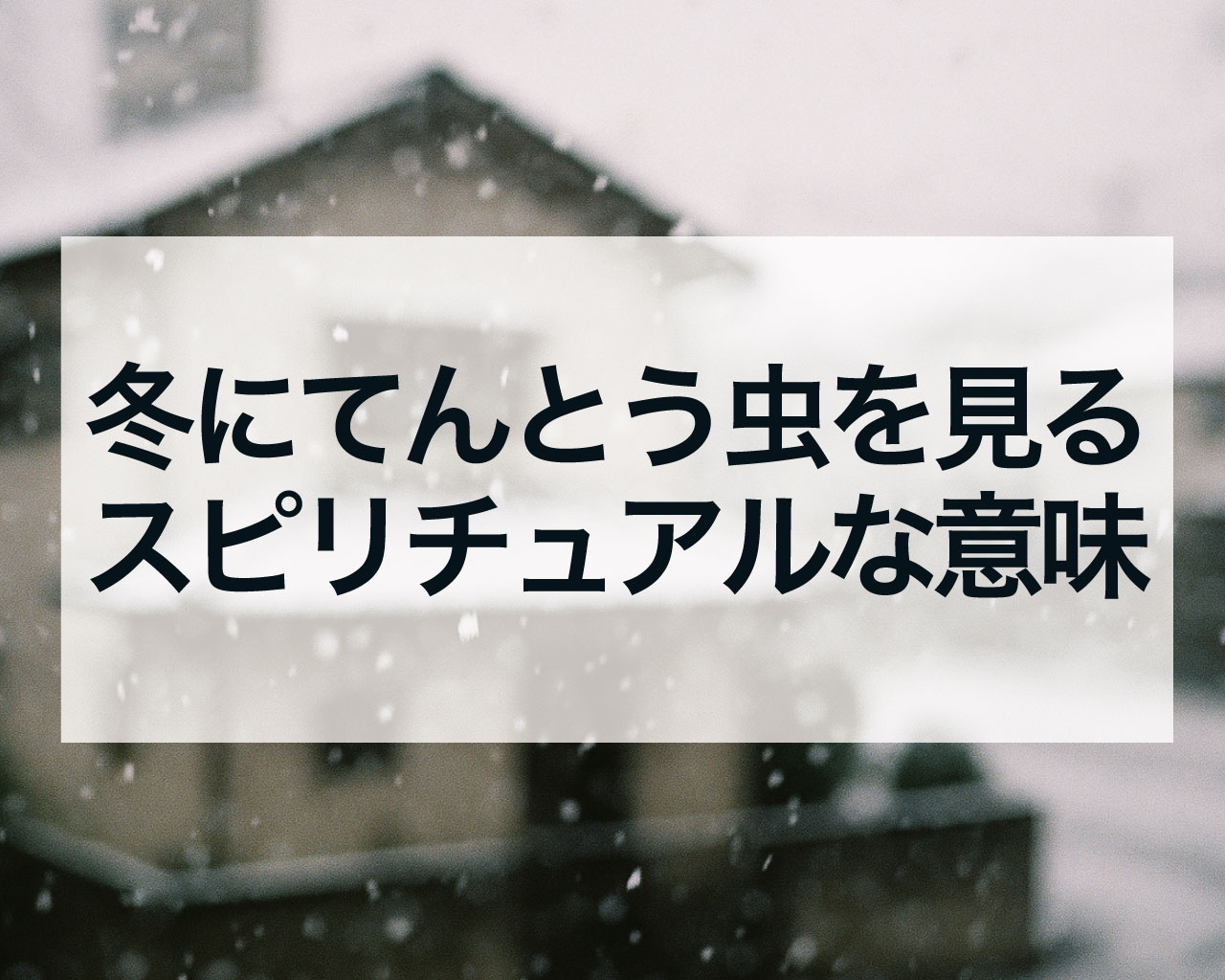 冬にてんとう虫を見るスピリチュアルな意味とは？場所別のメッセージも解説【奇跡の吉兆】
