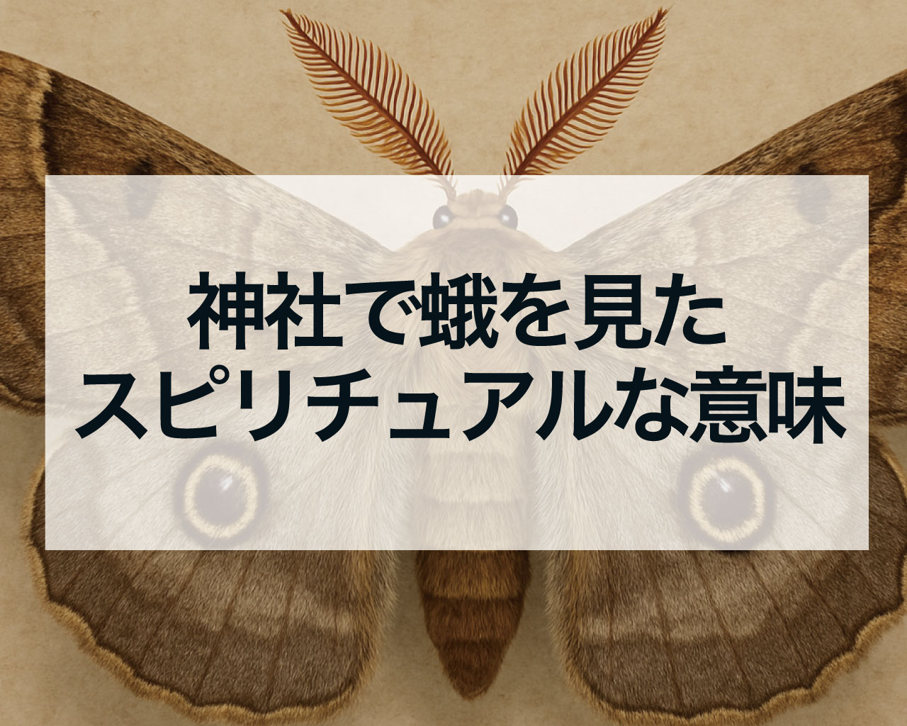 神社で蛾を見たスピリチュアルな意味