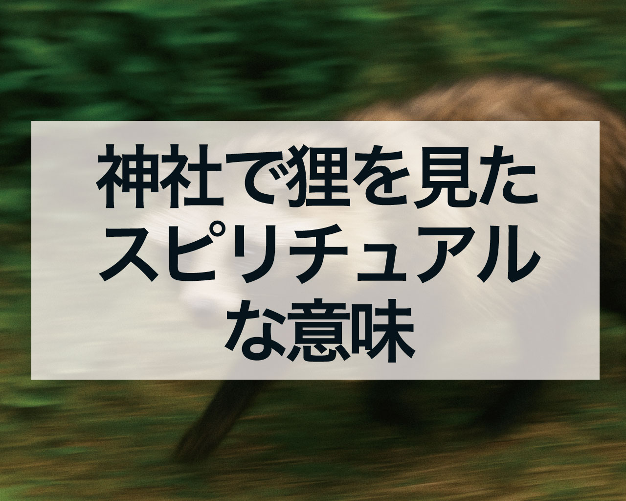 神社で狸を見たスピリチュアルな意味