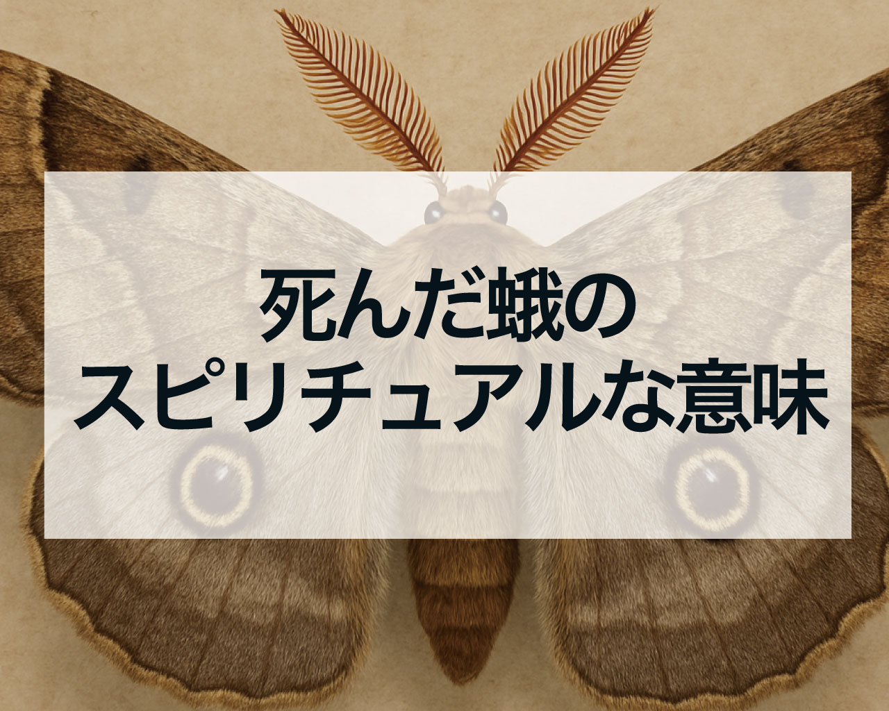 死んだ蛾のスピリチュアルな意味