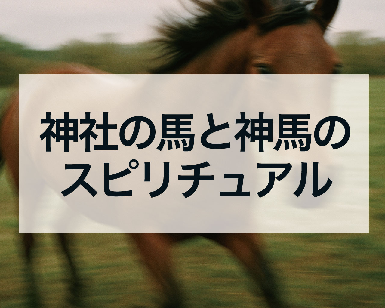 神社の馬と神馬のスピリチュアルメッセージ