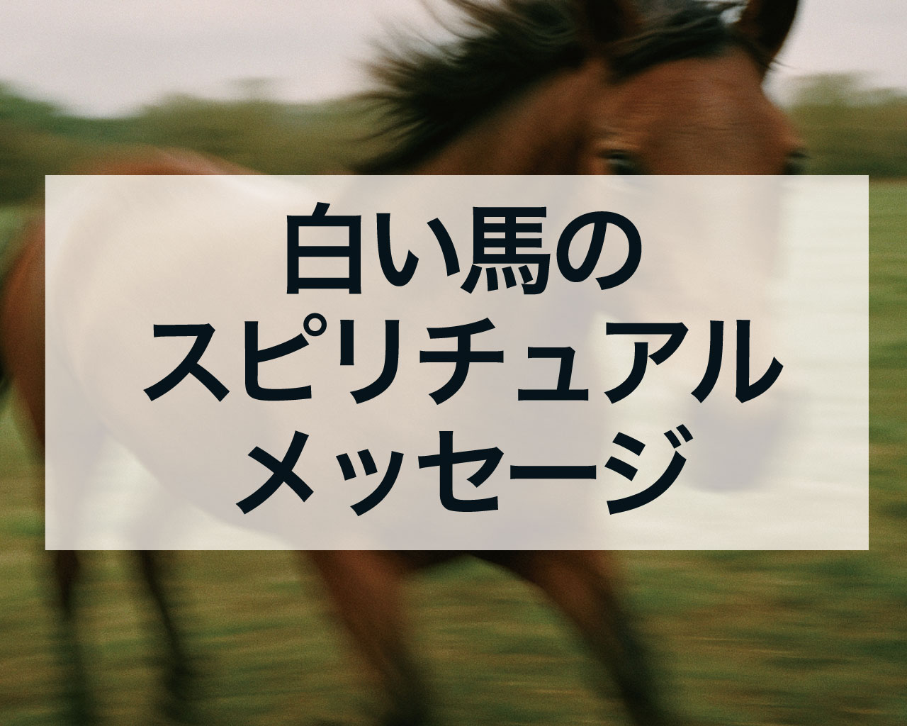 白い馬のスピリチュアルメッセージとは？幸運の予兆、夢占い、恋愛・金運の意味を徹底解説