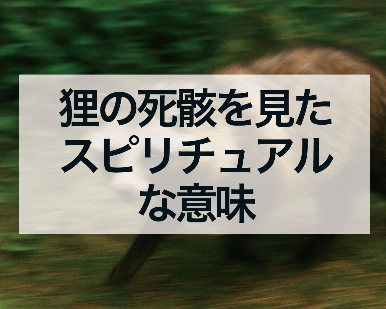 狸の死骸を見たスピリチュアルな意味