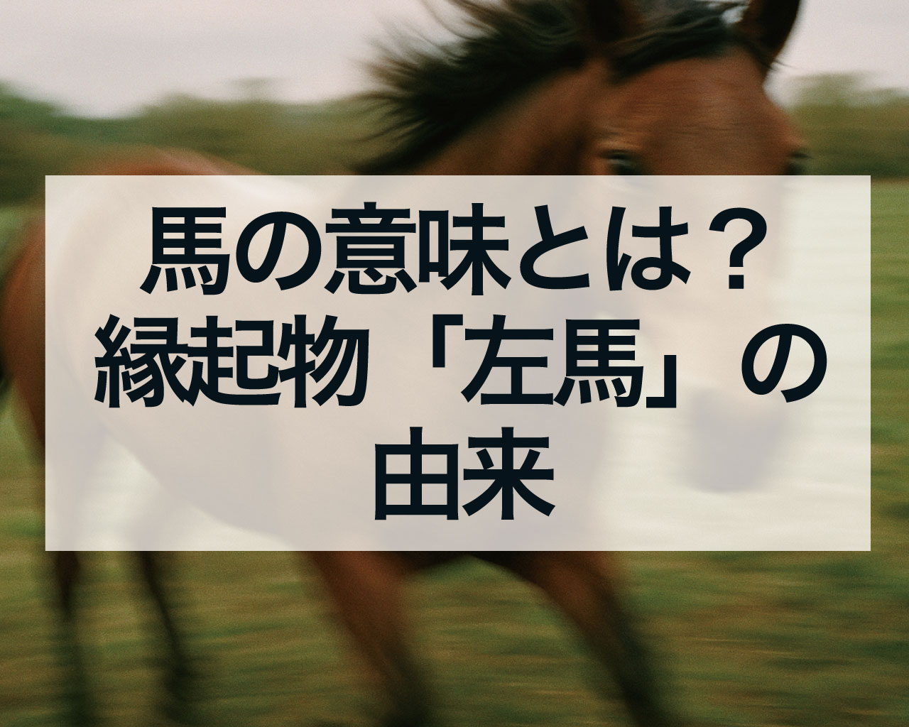 馬の意味とは？縁起物「左馬」の由来と「午」のスピリチュアルな秘密を徹底解説