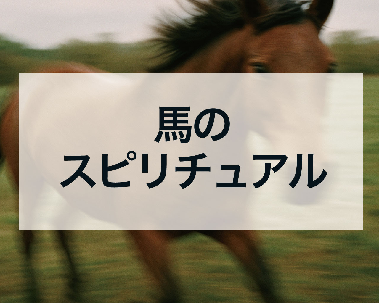 馬のスピリチュアルな意味とは？幸運のサインや夢占い、神社との関係を徹底解説