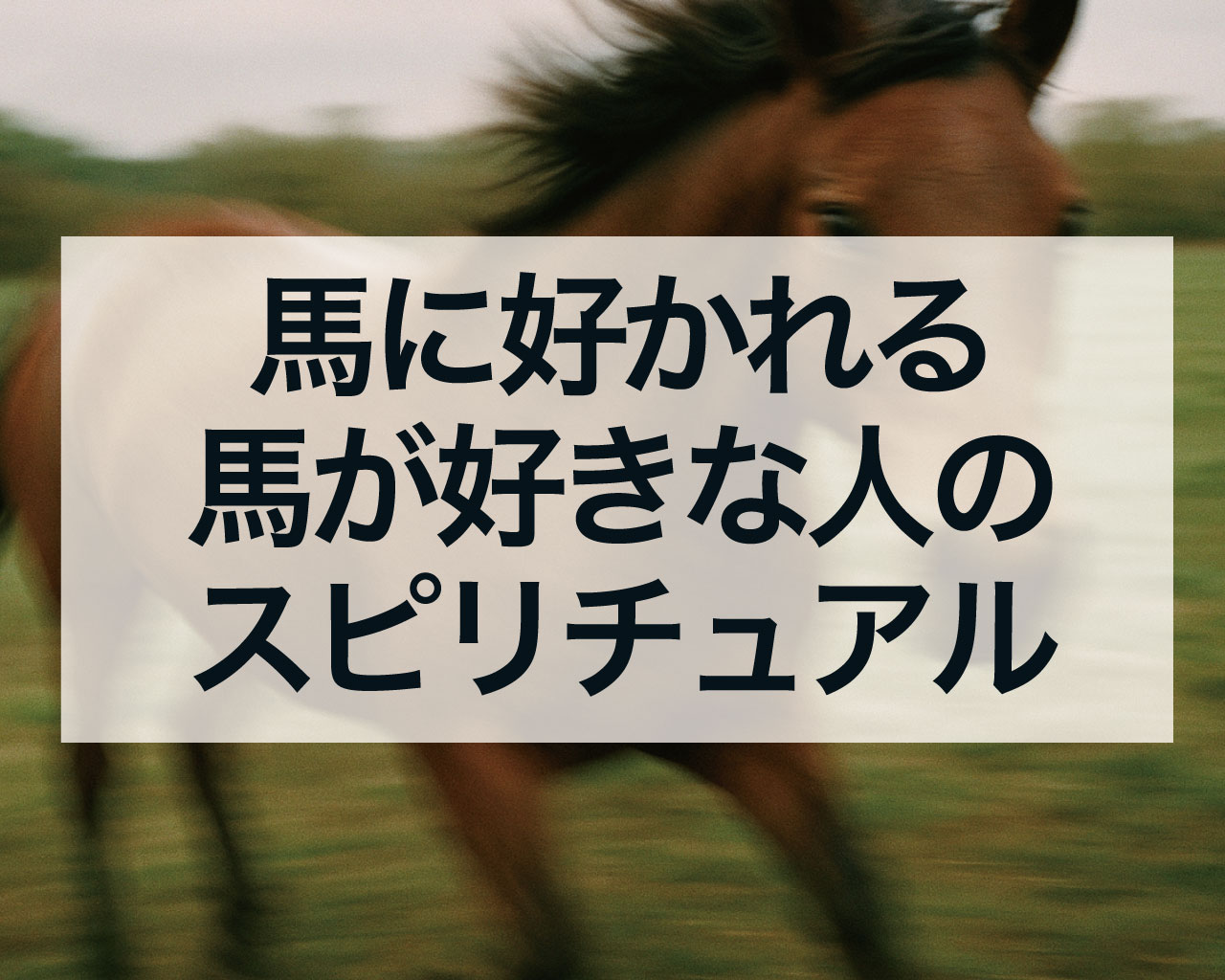 馬に好かれる・馬が好きな人のスピリチュアルな特徴と性格【完全版】前世やオーラの秘密まで