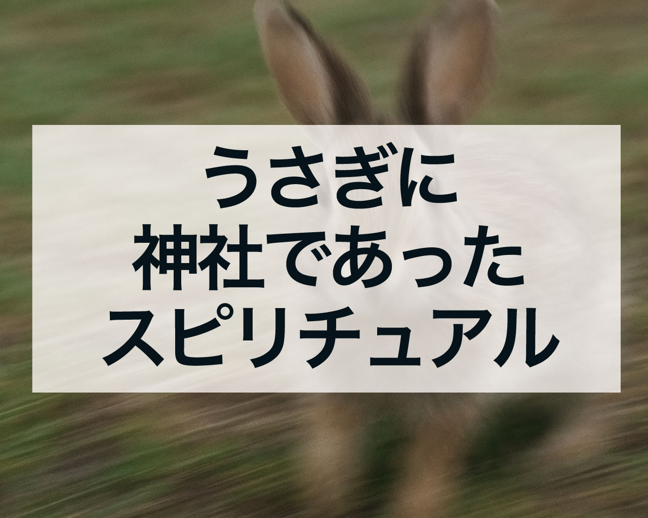 うさぎは神様の使い、うさぎに神社であったスピリチュアルな意味