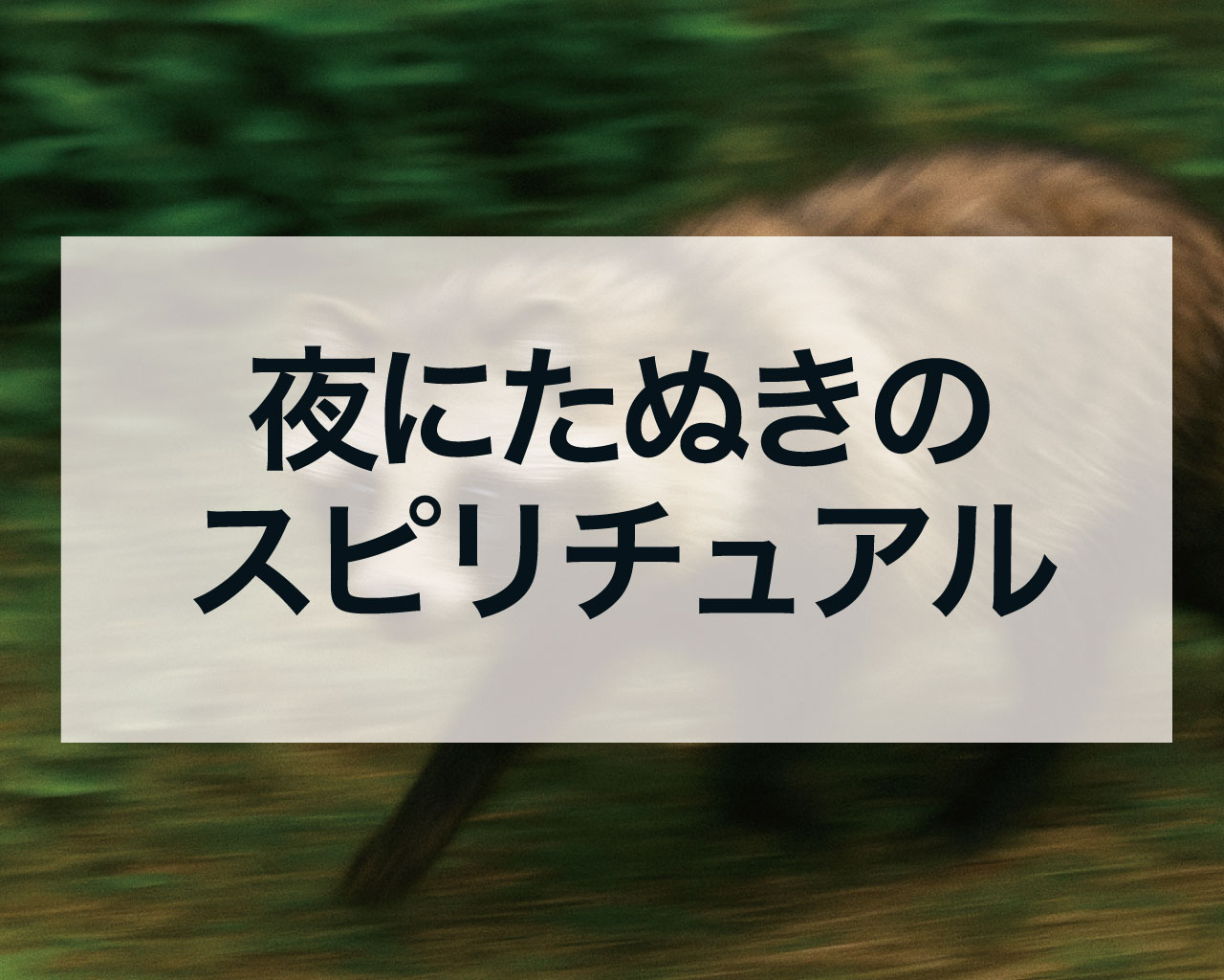 夜にたぬきのスピリチュアル、夜の狸それは「魂の変容」と「隠された幸運」の強力なサイン