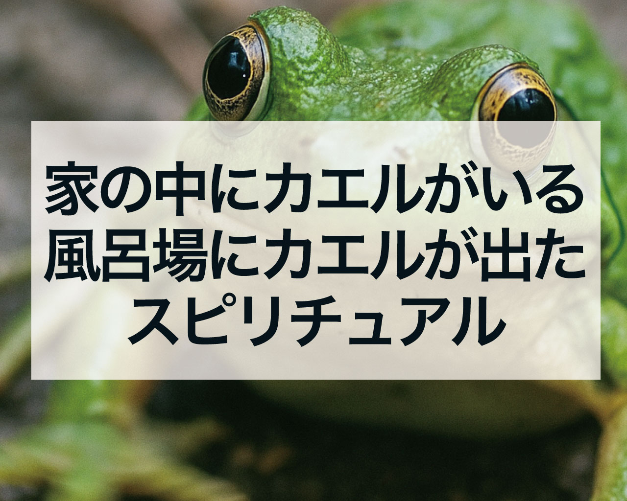 家の中にカエルがいる！風呂場にカエルが出た時のスピリチュアルな意味とは？場所別のメッセージを徹底解説