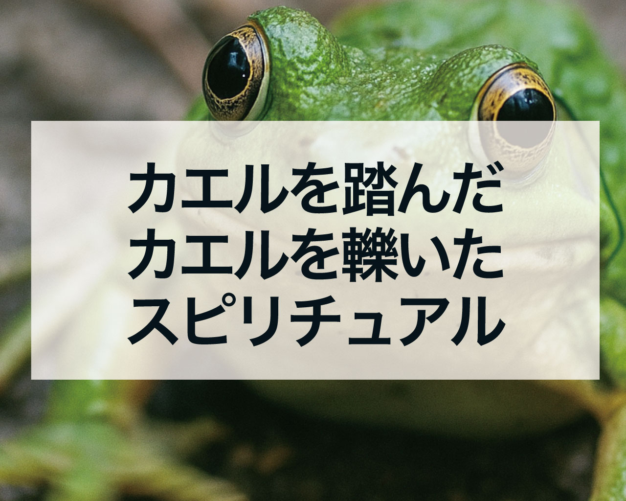カエルを踏んでしまったカエルを轢いたスピリチュアルメッセージ