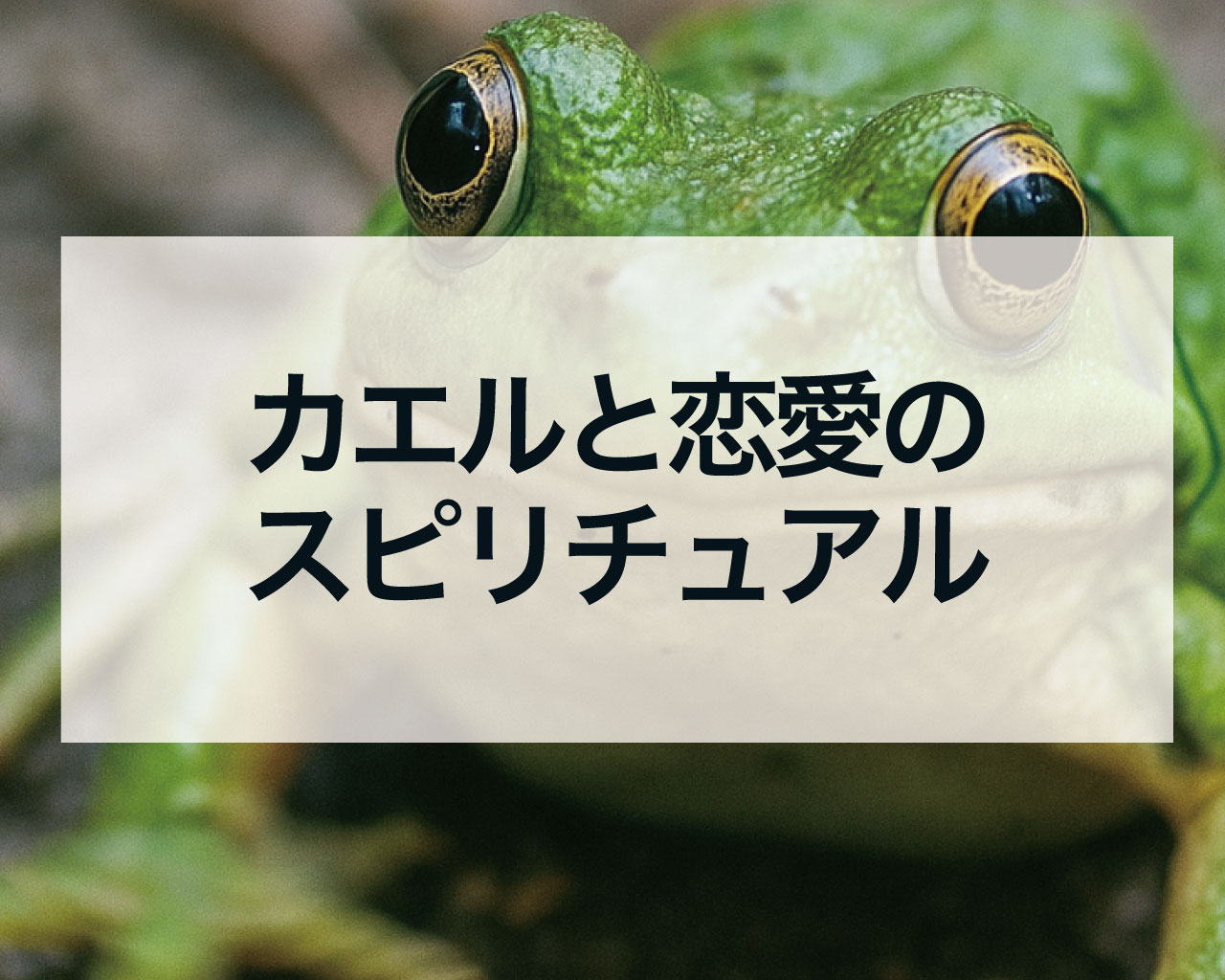 カエルと恋愛のスピリチュアル！復縁や結婚を引き寄せる最強のメッセージとは？待ち受けの効果も解説