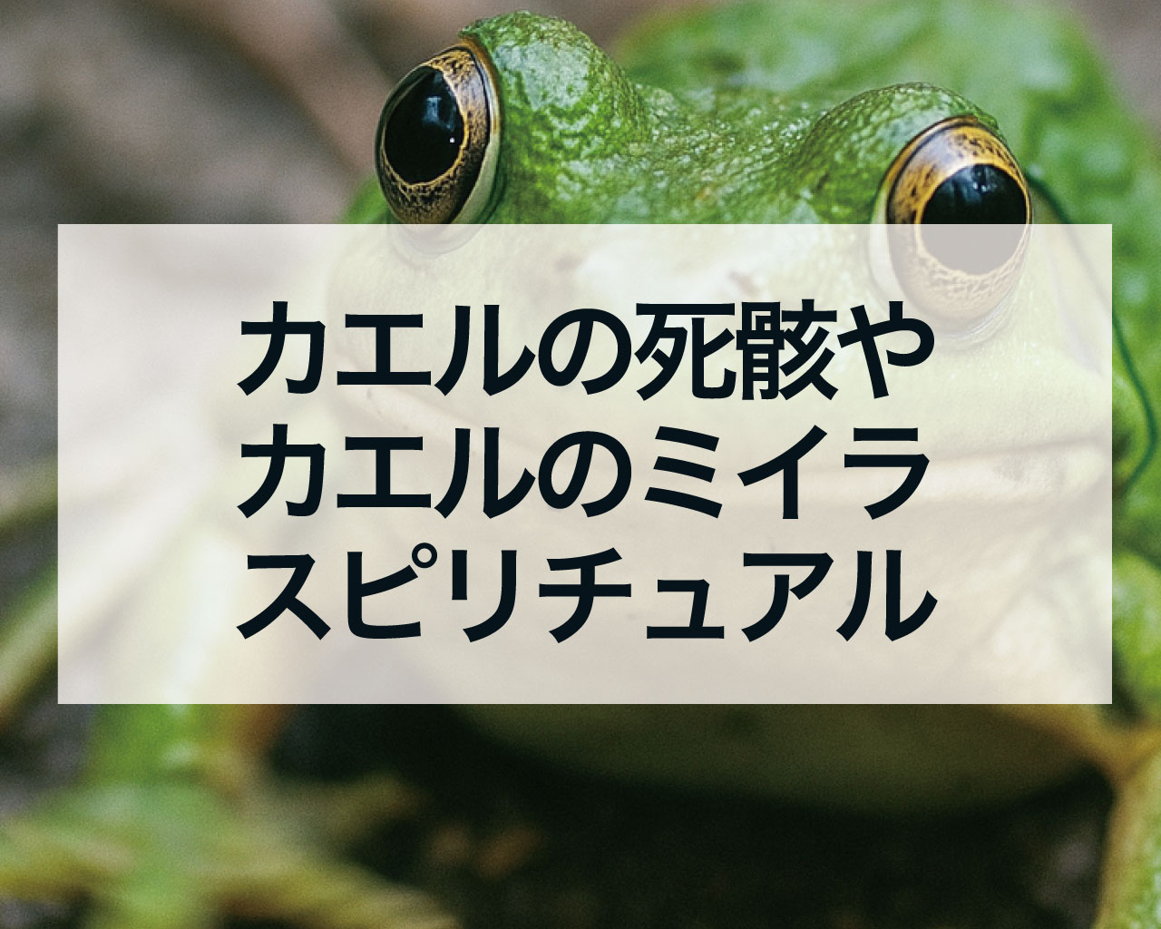 カエルの死骸やカエルのミイラが庭にあった意味とは？スピリチュアルなメッセージを徹底解説！不吉ではなく「守護」と「再生」のサイン