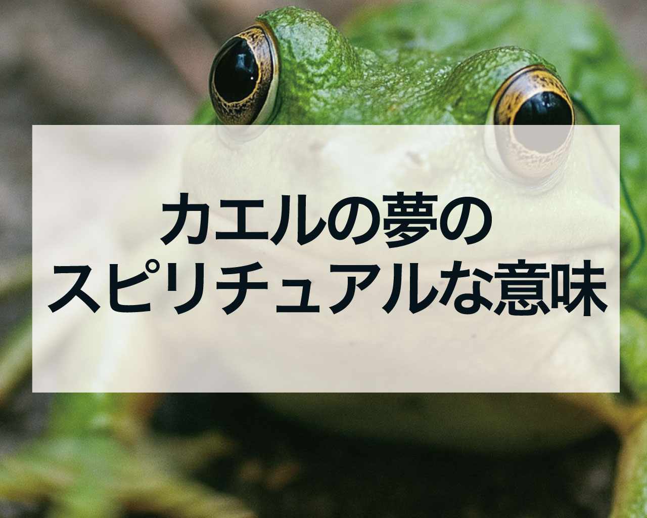 【夢占い】カエルの夢のスピリチュアルな意味とは？金運・恋愛・変化のサインを徹底解説！
