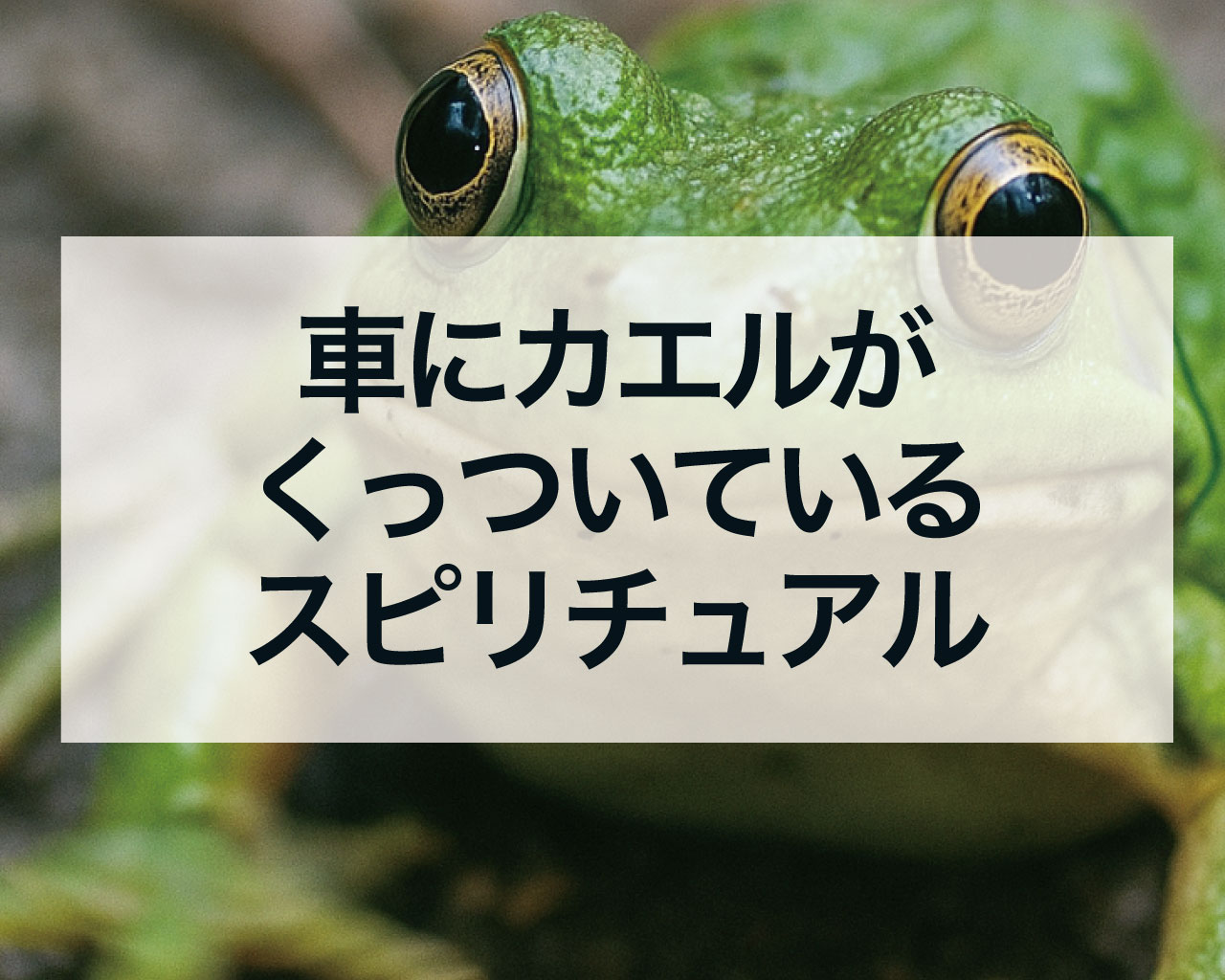 車にカエルがくっついている！車の前をカエルが横切る時のスピリチュアルな意味とは？【交通安全と飛躍のサイン】