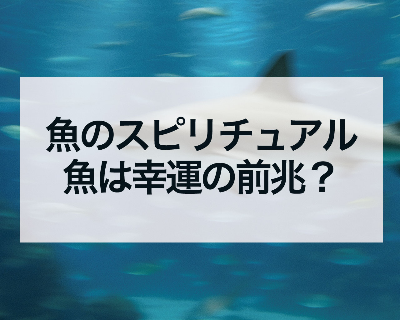 魚のスピリチュアル、魚は幸運の前兆？金運・恋愛運・潜在意識との深い関係を徹底解説
