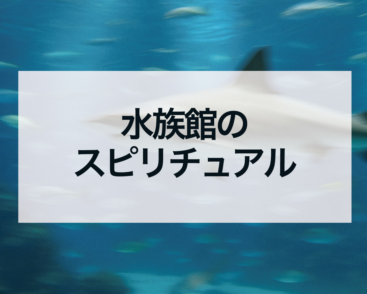 水族館のスピリチュアル、癒しと浄化の最強パワースポット！生き物からのメッセージと運気アップの秘訣